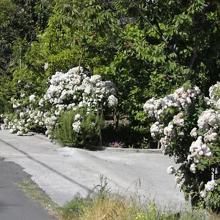 With Parking Space Palit, Rab - 4957 Apartamento